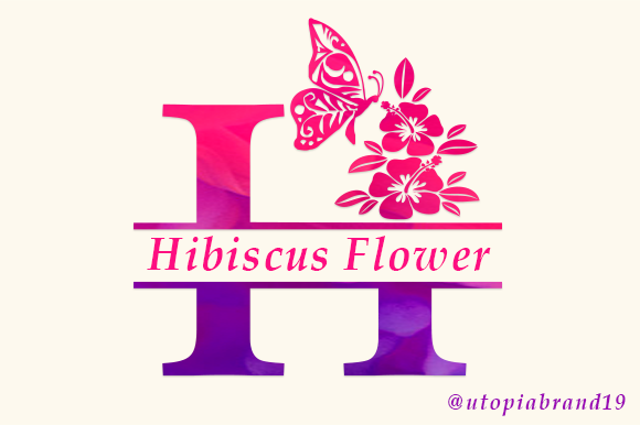 Hibiscus Flower Monogram: A Decorative Font for Editors