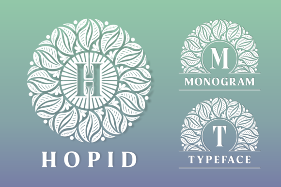 Hopid: A Unique Decorative Font for Branding