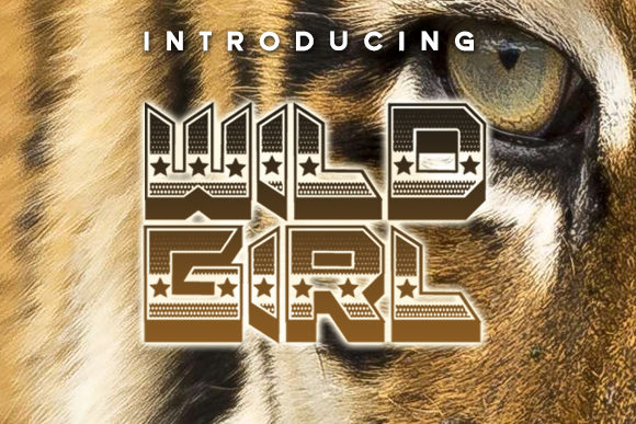 Wild Girl Font: Bold Display Typeface for Modern Brands